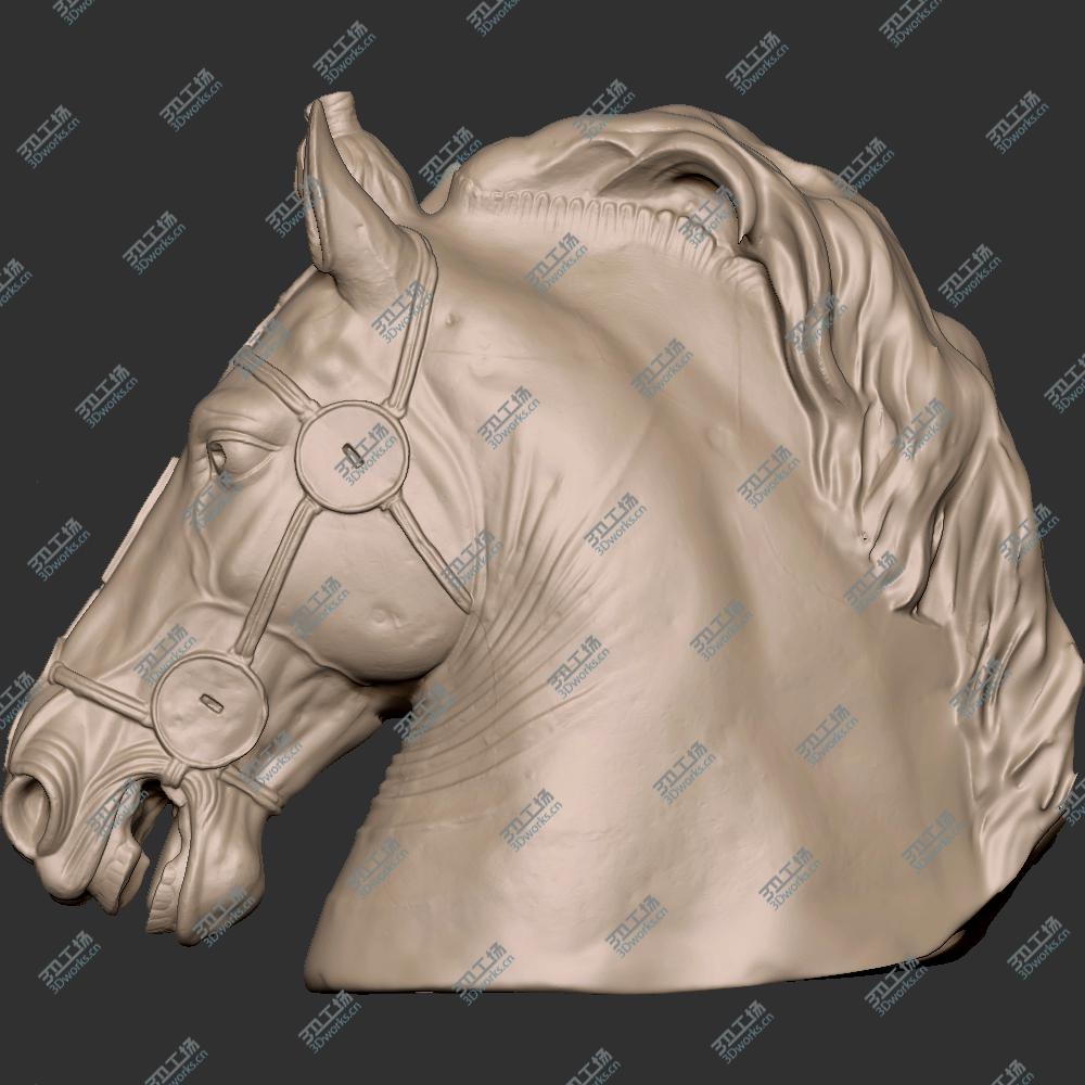 images/goods_img/20210225/Horse Head/3.jpg